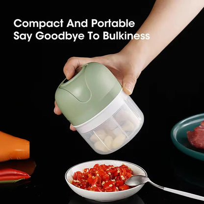FMstyles Electric Garlic Chopper, Mini USB Charging Wireless Food Processor